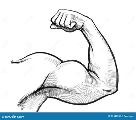 Strong Biceps Stock Illustration Illustration Of Strong 92547335