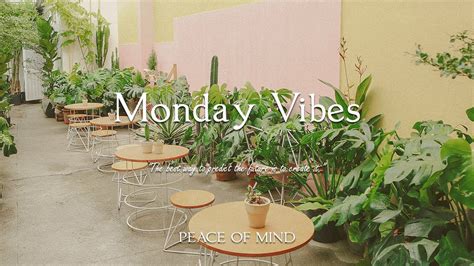 하루를 시작하는 긍정적인 에너지를 주는 플레이리스트 피아노 Monday Vibes PEACE OF MIND YouTube