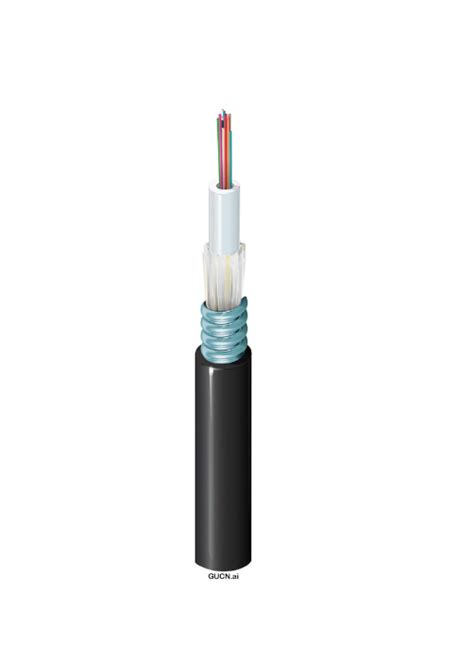 Buy Belden BAGU12QA006FBK 6C Single Mode Optical Fiber Armoured Cable