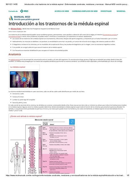 Introducción A Los Trastornos De La Médula Espinal Enfermedades