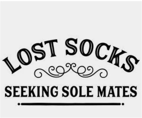 Pin By Ashtyn Walden On Laundry Room Lost Socks Laundry Room Sole Mate