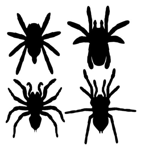 Premium Vector Set Tarantula Spider Silhouette Icon Vector Illustration