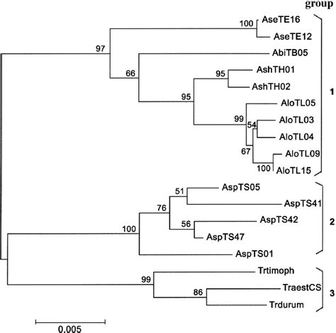 Neighbor Joining Dendrogram Showing Phylogenetic Relations Among 18