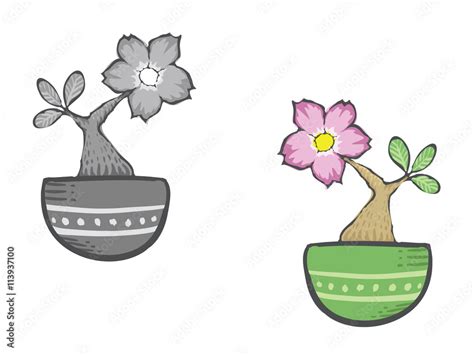 Draw A Rose Flower Pot Best Flower Site