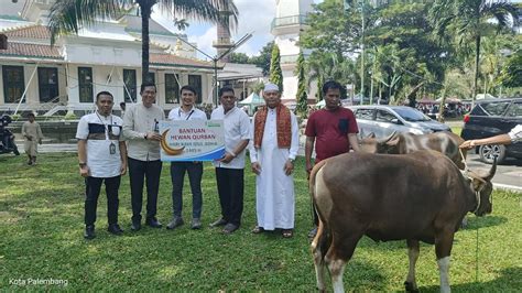 Idul Adha Bank Sumsel Babel Salurkan Bantuan Hewan Qurban Berita