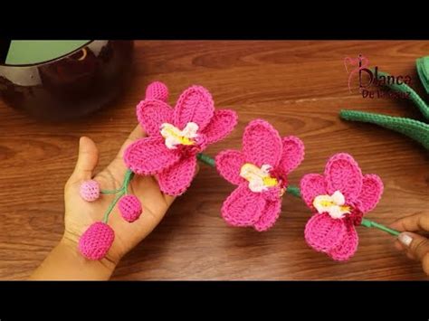 Maceta flores orquídeas PLANTA FLORES ORQUIDEAS TEJIDOS A CROCHET