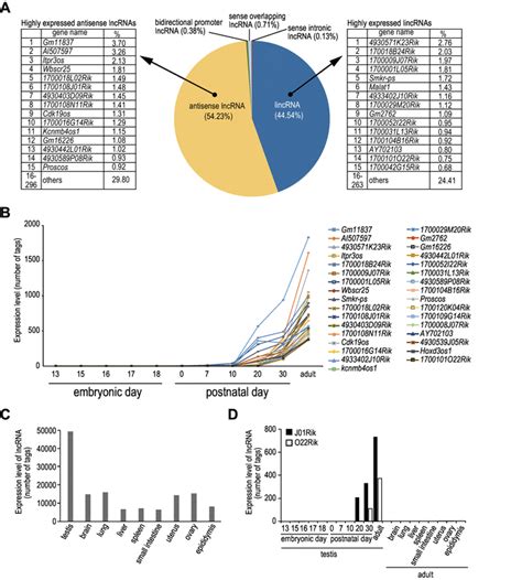 In Silico Analysis Of The Long Non Coding Rna Lncrna Expression Of