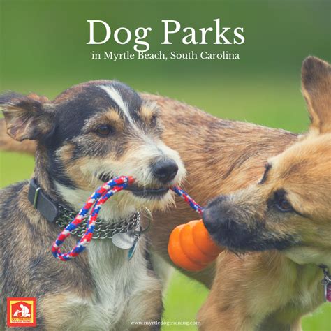 Dog Parks in Myrtle Beach | Dog Training In Your Home - Myrtle Beach