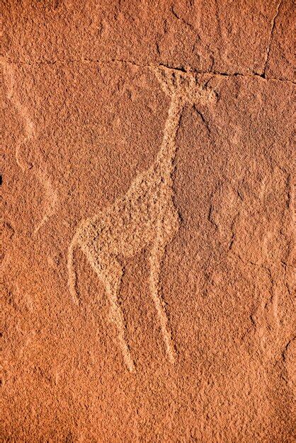 Premium Photo Bushman Prehistoric Rock Engravings At The Unesco World