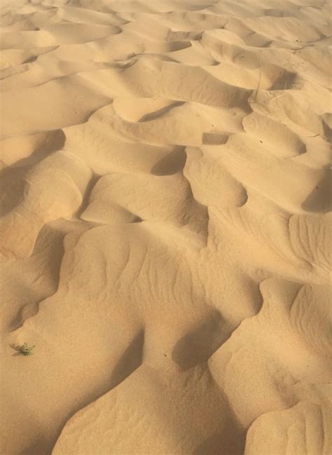 Sand Dunes In Dubai Desert ‘20 Soil Texture Deserts Sand