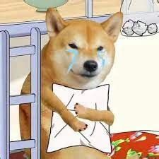 doge sad Blank Template - Imgflip