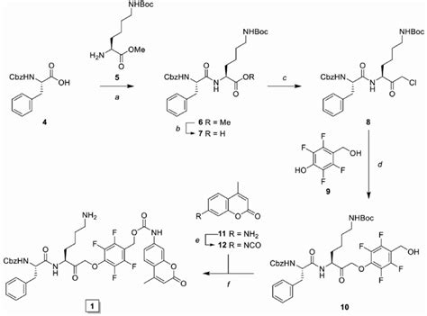 Scheme Synthesis Of Inhibitory Prodrug Model Ipd Amc Reagents