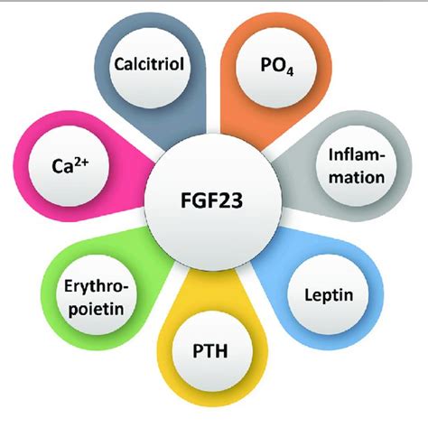 Simplified Diagram Illustrating Various Factors That Can Directly Or Download Scientific