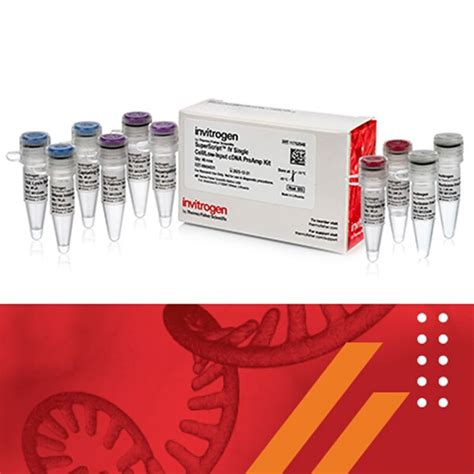 Direct Reverse Transcription Thermo Fisher Scientific Us