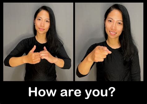 asl signs  beginners