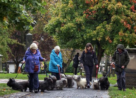 Pet Blessing Ceremony Greyfriars Kirk Edinburgh. – Live Edinburgh News