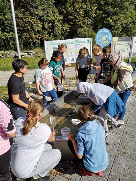 Erlebnis Wasser Grundschule Und Mittelschule Untergriesbach