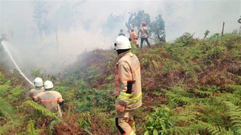 10 Hektar Lahan Di Jalan Soekarno Hatta Bontang Terbakar Cuaca Panas