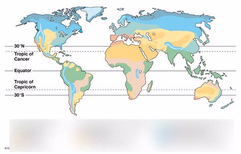 Terrestrial Biomes Diagram Quizlet