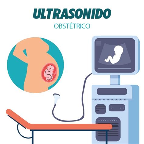 Ultrasonido Obstetrico Laboratorio M Dico Samalab