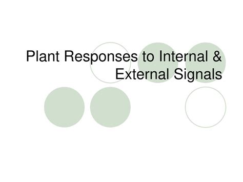 Plant Responses To Internal And External Signals Ppt Download