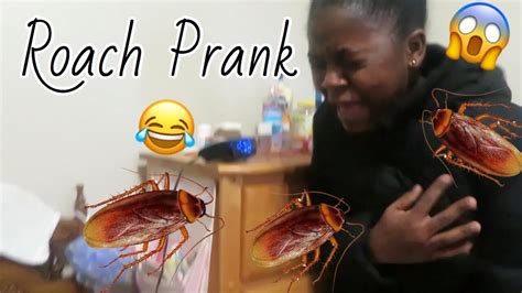 Hilarious Roach Prank On Sister She Cried Youtube