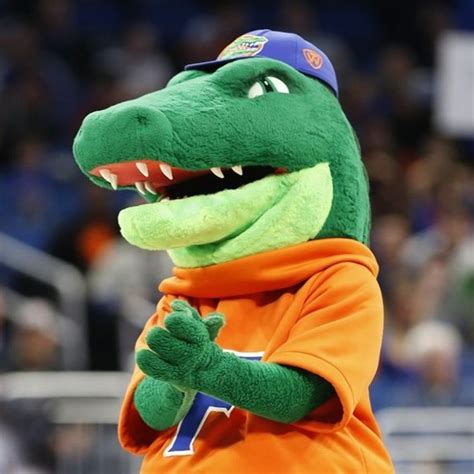 Albert Gator - Mascot - University of Florida | LinkedIn