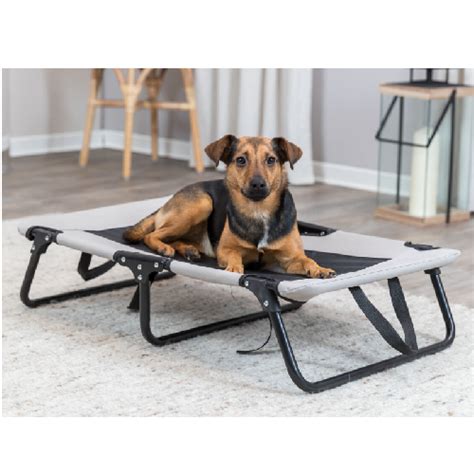 Lit De Camp Pour Chien Sur Lev Pliable Robuste Stable