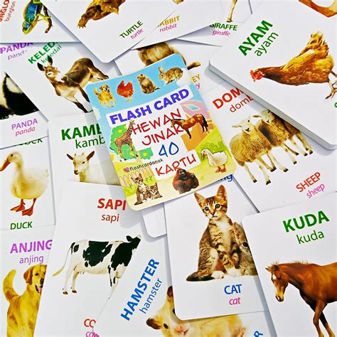 Jual Mainan Kartu Flash Card Kartu Hewan Seri 1 2 Bahasa Indonesia Dan