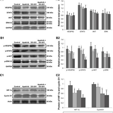 Effects Of Dual Inhibition Of Vegfr2 And Stat3 On Their Downstream