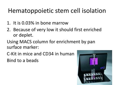 Ppt Stem Cell Isolation Powerpoint Presentation Free Download Id