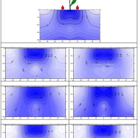 And Display The Distribution Of Soil Salts Ece Ds M Around The