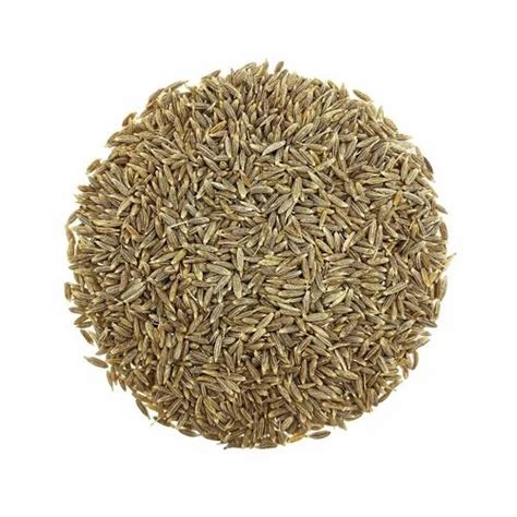 Brown Organic Cumin Seeds At Rs 150 Kg In Junagadh ID 2851276423191