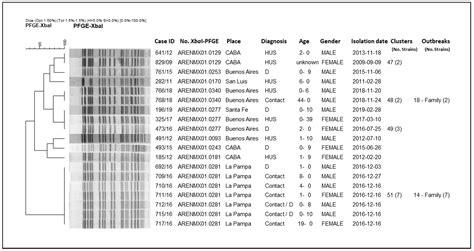 Microorganisms Free Full Text The Importance Of Shiga Toxin