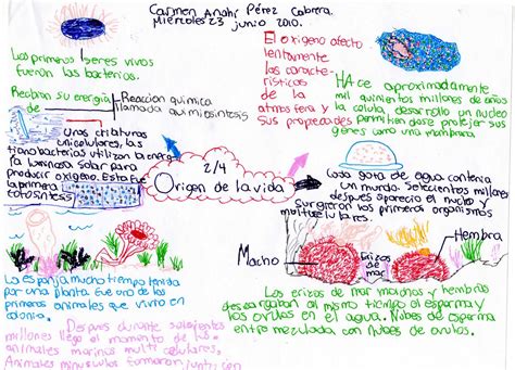 Anacrea Mapa Mental Origen De La Vida