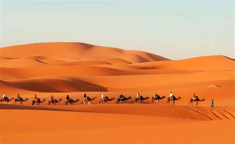 Excursión por el desierto desde Tánger terminando a Marrakech