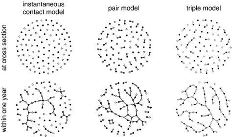 Sexual Partnership Networks From The Three Individual Based Models The Download Scientific