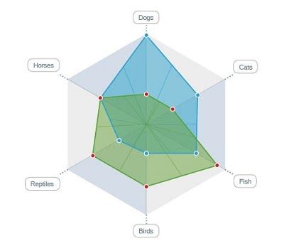 16+ Spider (Radar) Chart Templates (PowerPoint, PDF, Word) » Template Republic