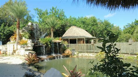 Tourist Attraction Everglades Alligator Farm Reviews And Photos