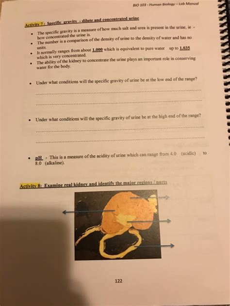 Solved BIO 103 Human Biology Lob Manual Lab 9 Urinary Chegg