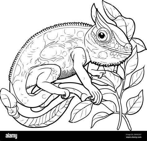 Dibujo De Camaleón Para Colorear Para Adultos Ilustración Vectorial En Blanco Y Negro Imagen