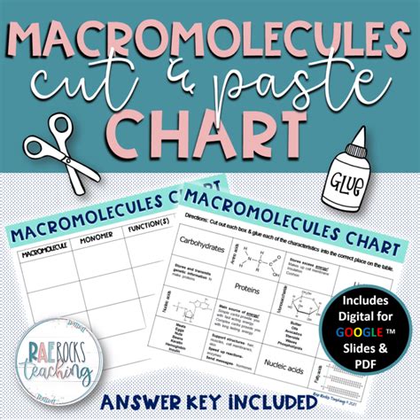 Macromolecules Chart - Rae Rocks Teaching