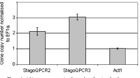 Figure 1 From A Quantitative Pcr Approach To Determine Gene Copy Number