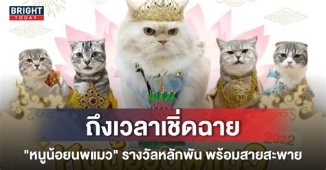 สงครามนางงาม เริ่ม ประกวด “หนูน้อยนพแมว” รางวัลหลักพัน พร้อมสายสะพาย