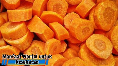 7 Manfaat Wortel Untuk Kesehatan Dan Kandungan Nutrisi Di Dalamnya