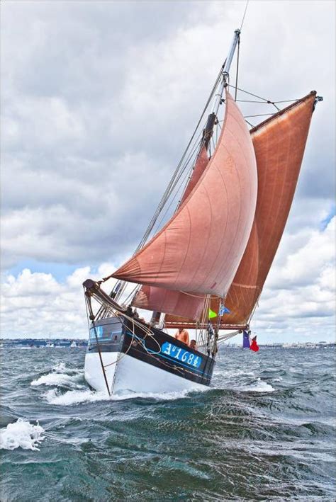 Le Sloop Est Un Voilier Un M T Gr En Voile Aurique Un Seul Foc