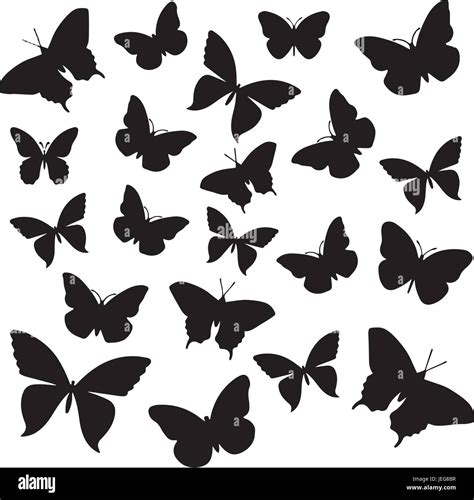 Black And White Silhouette Of Butterflies Stock Vector Image And Art Alamy