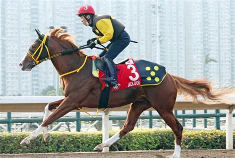 【香港国際競走】jra海外馬券売り上げ発表 香港カップなど4競走で51億円超の盛況 競馬ニュース Netkeiba