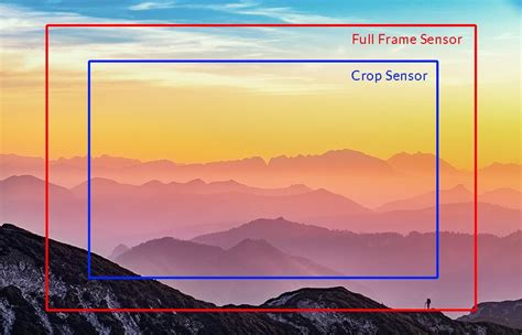 Full Frame Vs Aps C Sensor