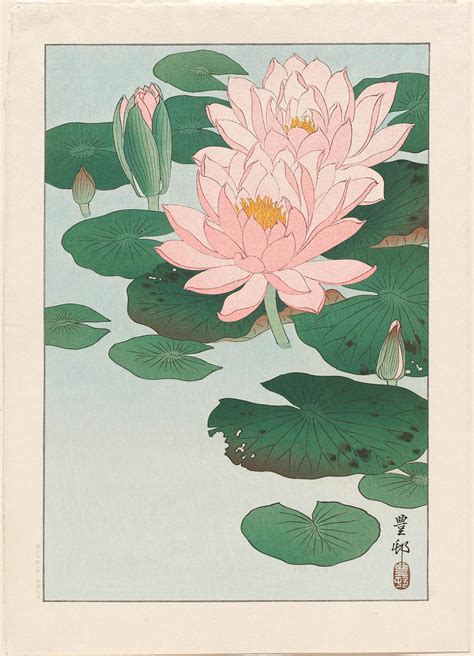 Water Lilies | Museum of Fine Arts, Boston